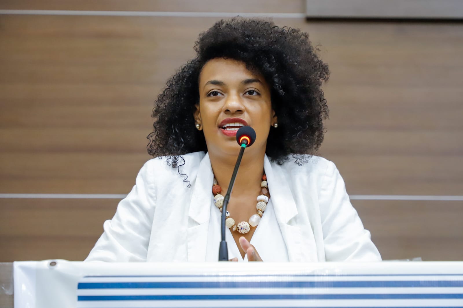 Debate Ci&ecirc;ncias Criminais - Novos Desafios