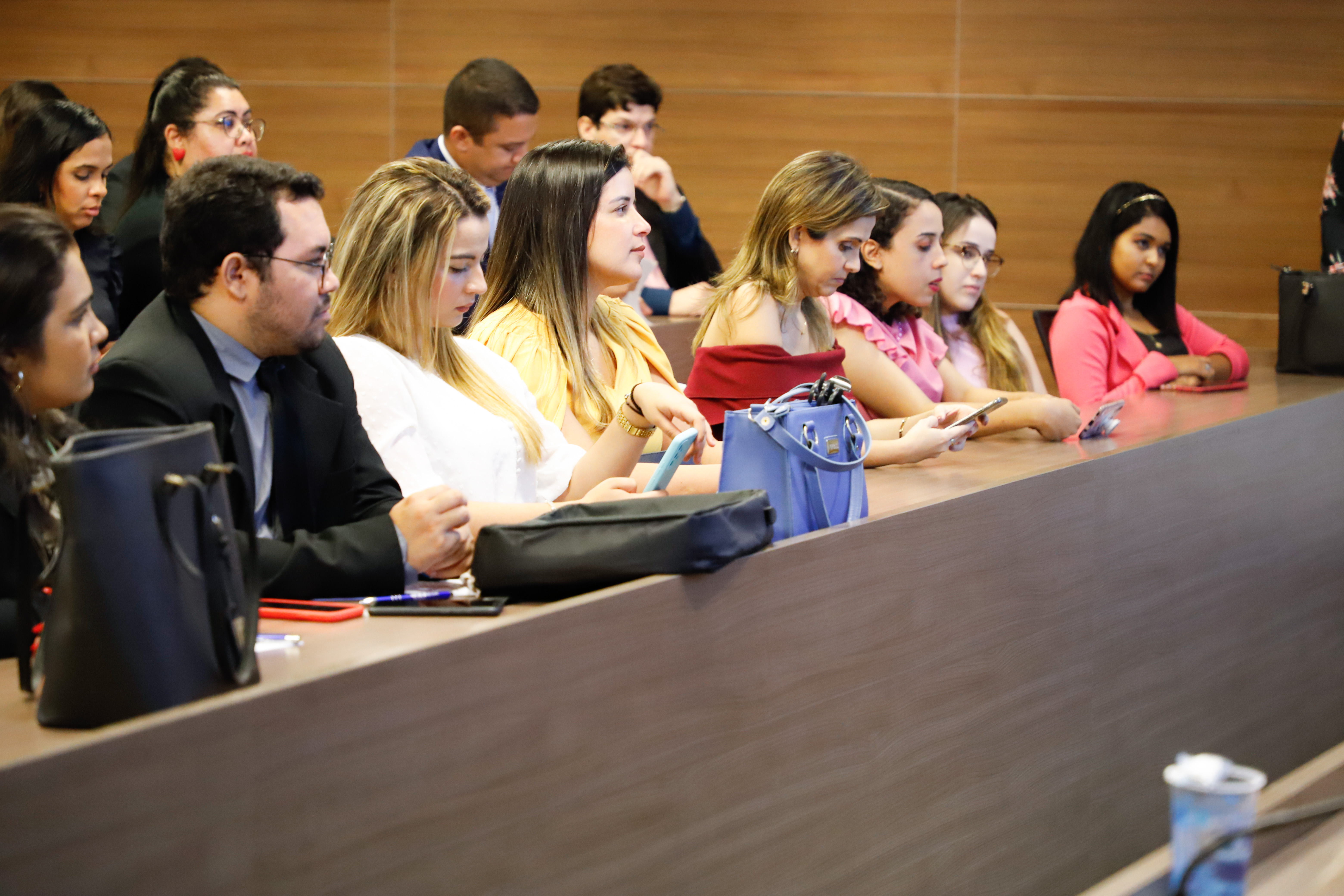 Encontro das Comiss&otilde;es