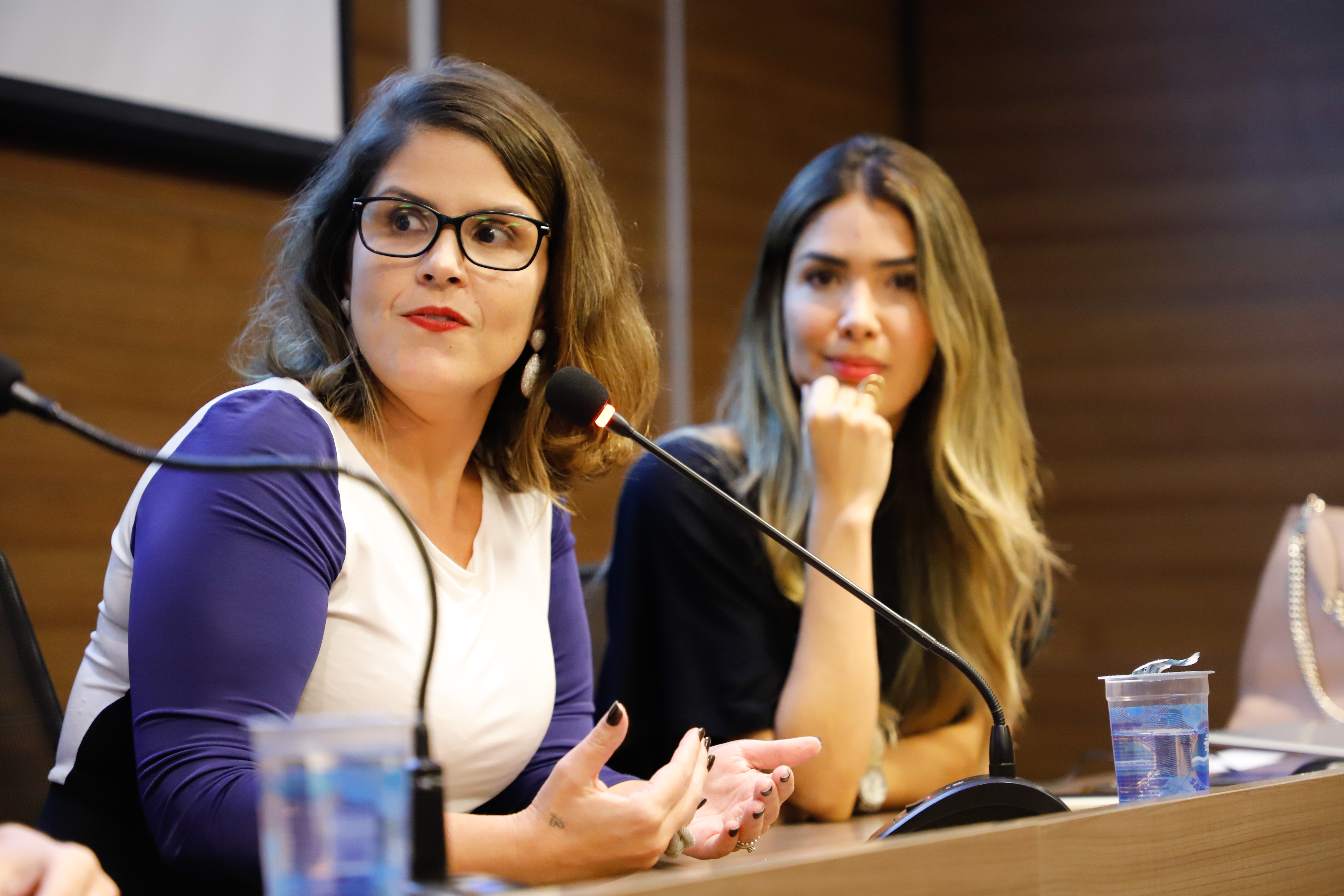 Encontro das Comiss&otilde;es