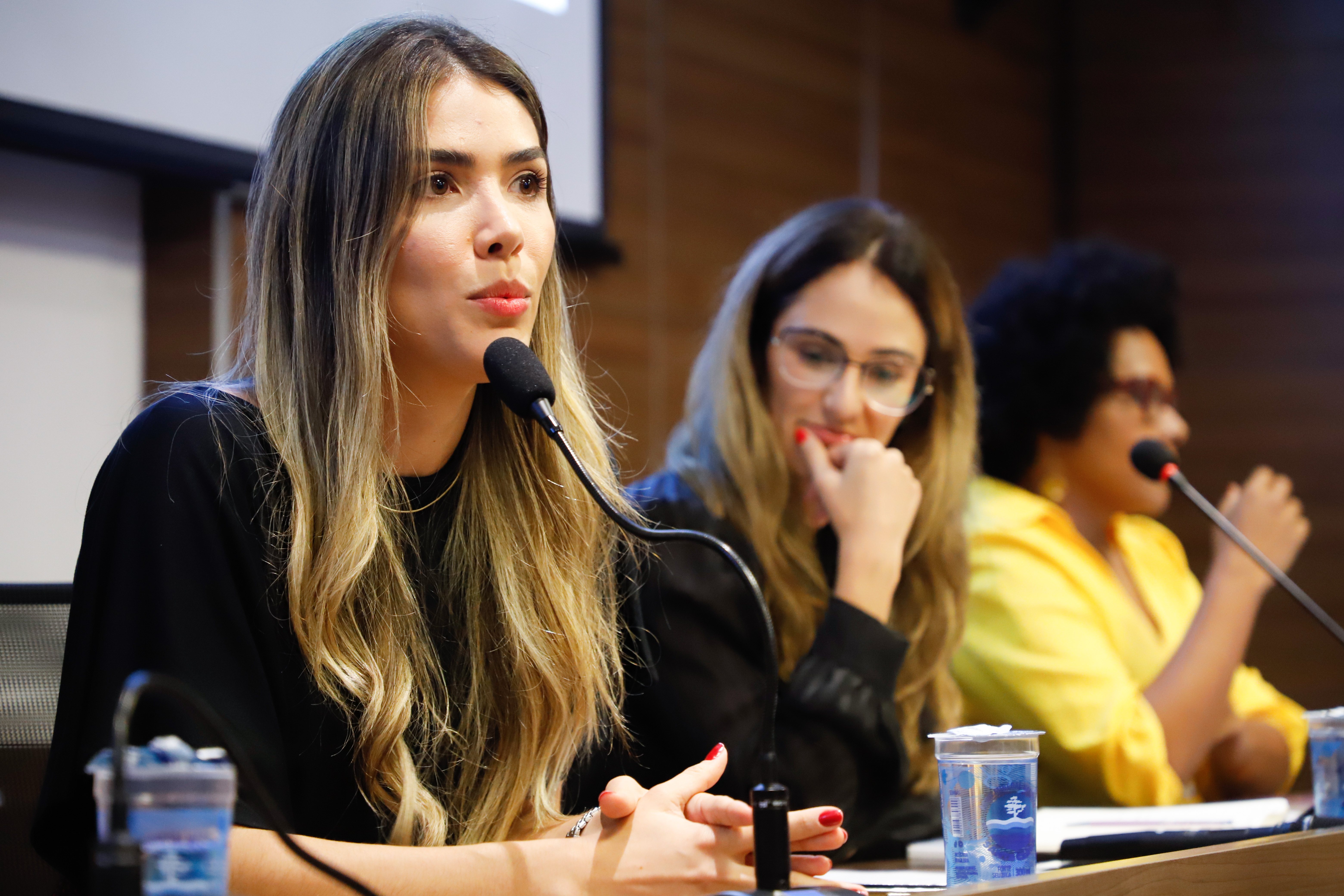 Encontro das Comiss&otilde;es