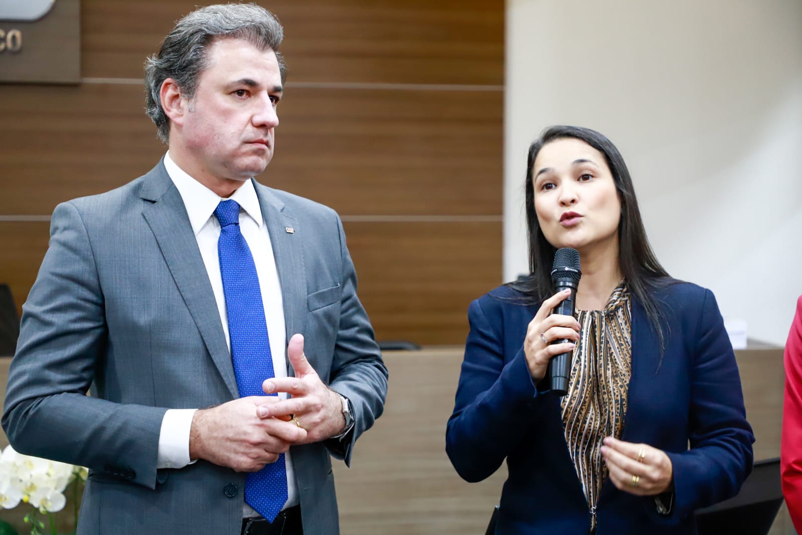Primeiro Encontro dos Membros Colaboradores do Comit&ecirc; de Rela&ccedil;&otilde;es Estudantis