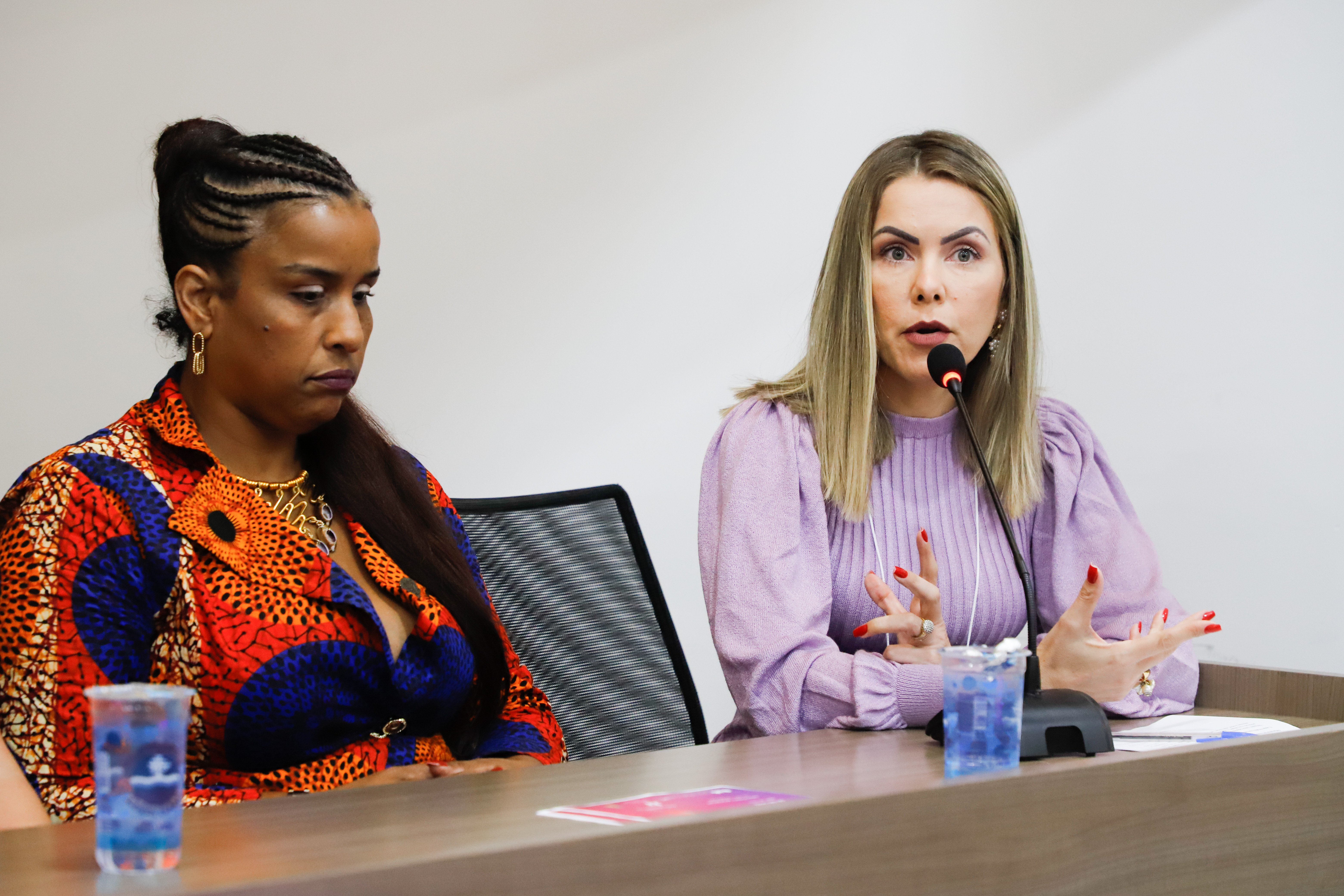 I Workshop de Boas Pr&aacute;ticas de Equidade no Judici&aacute;rio
