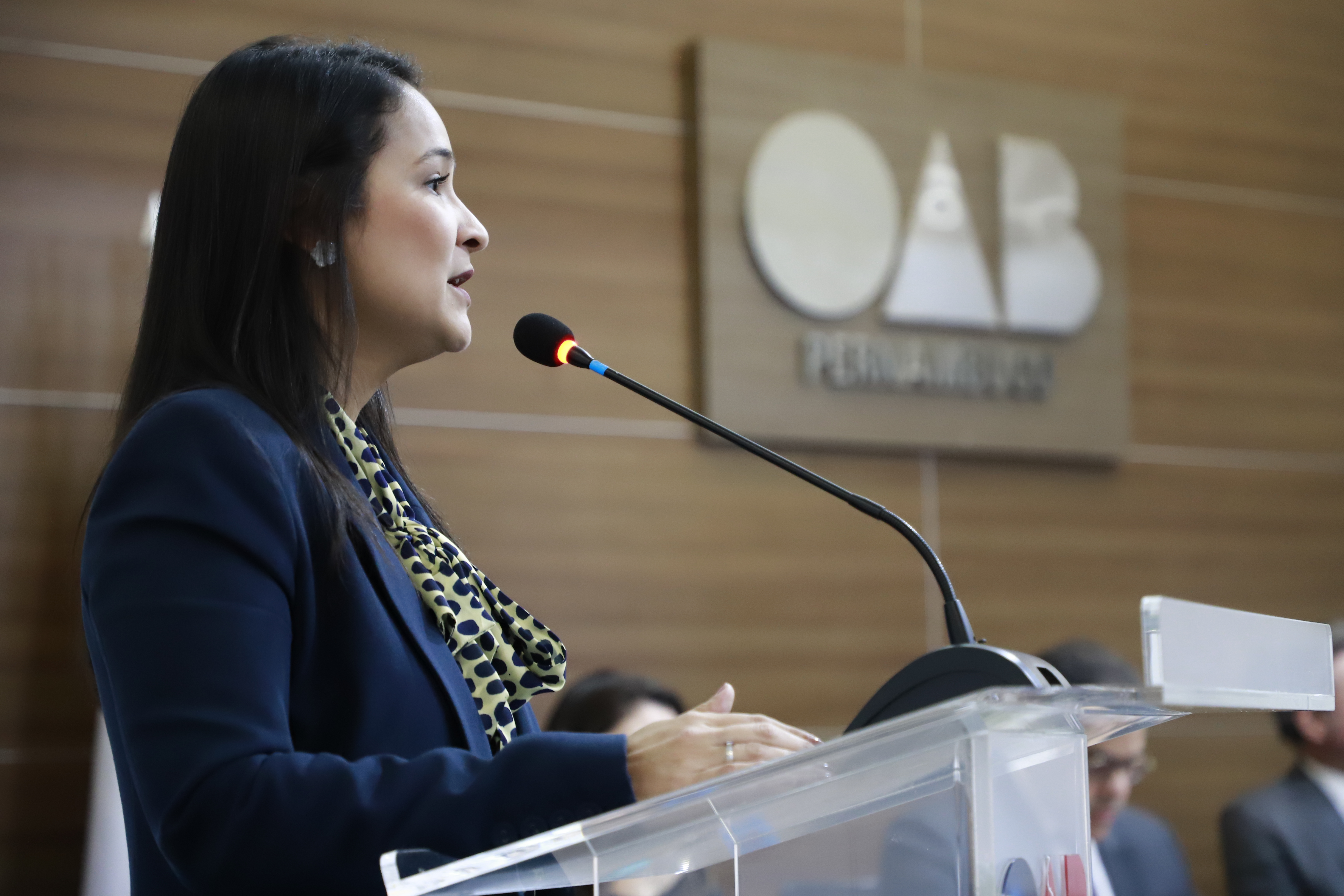 II Encontro de Comiss&otilde;es