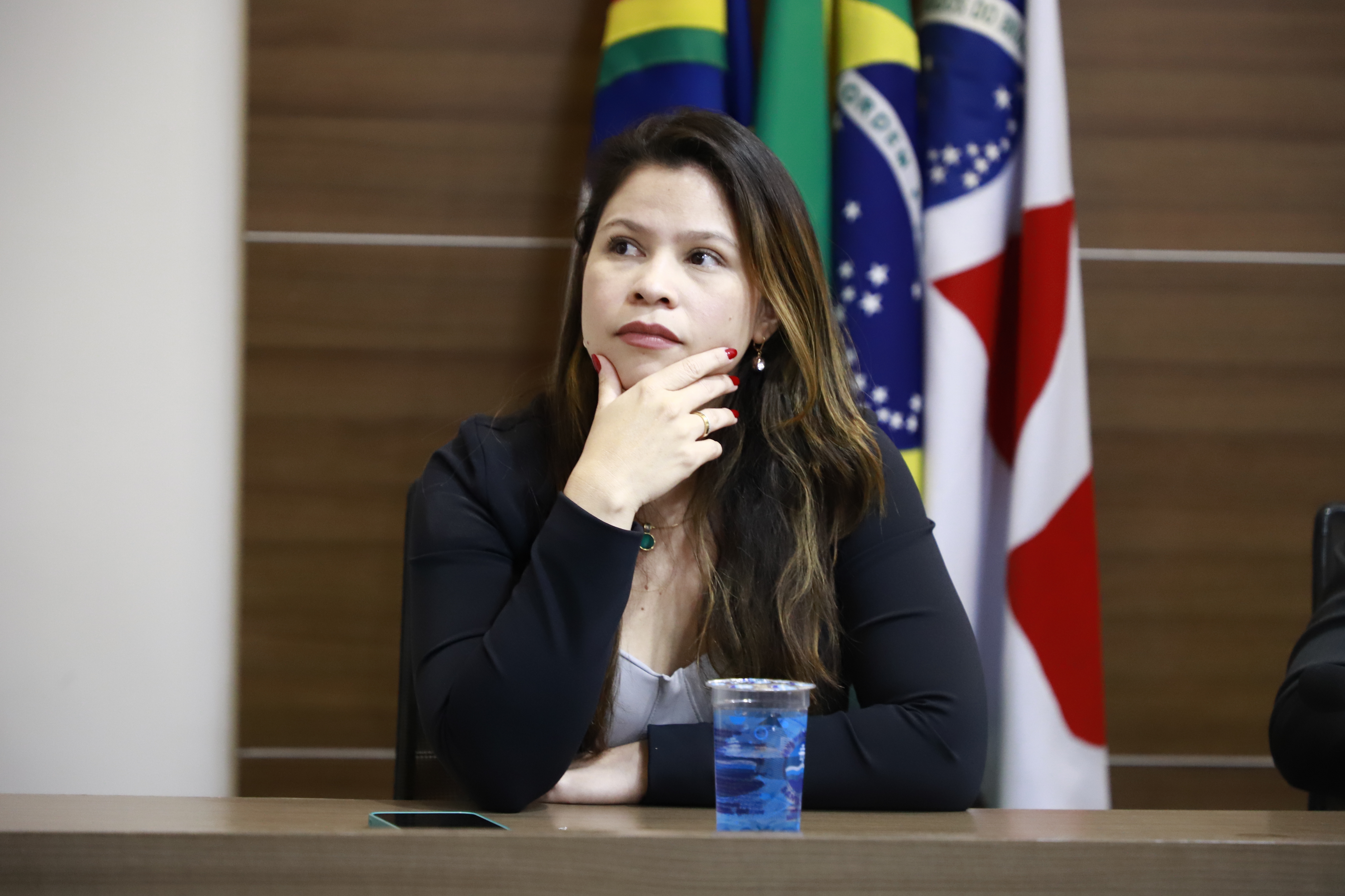 II Encontro de Comiss&otilde;es