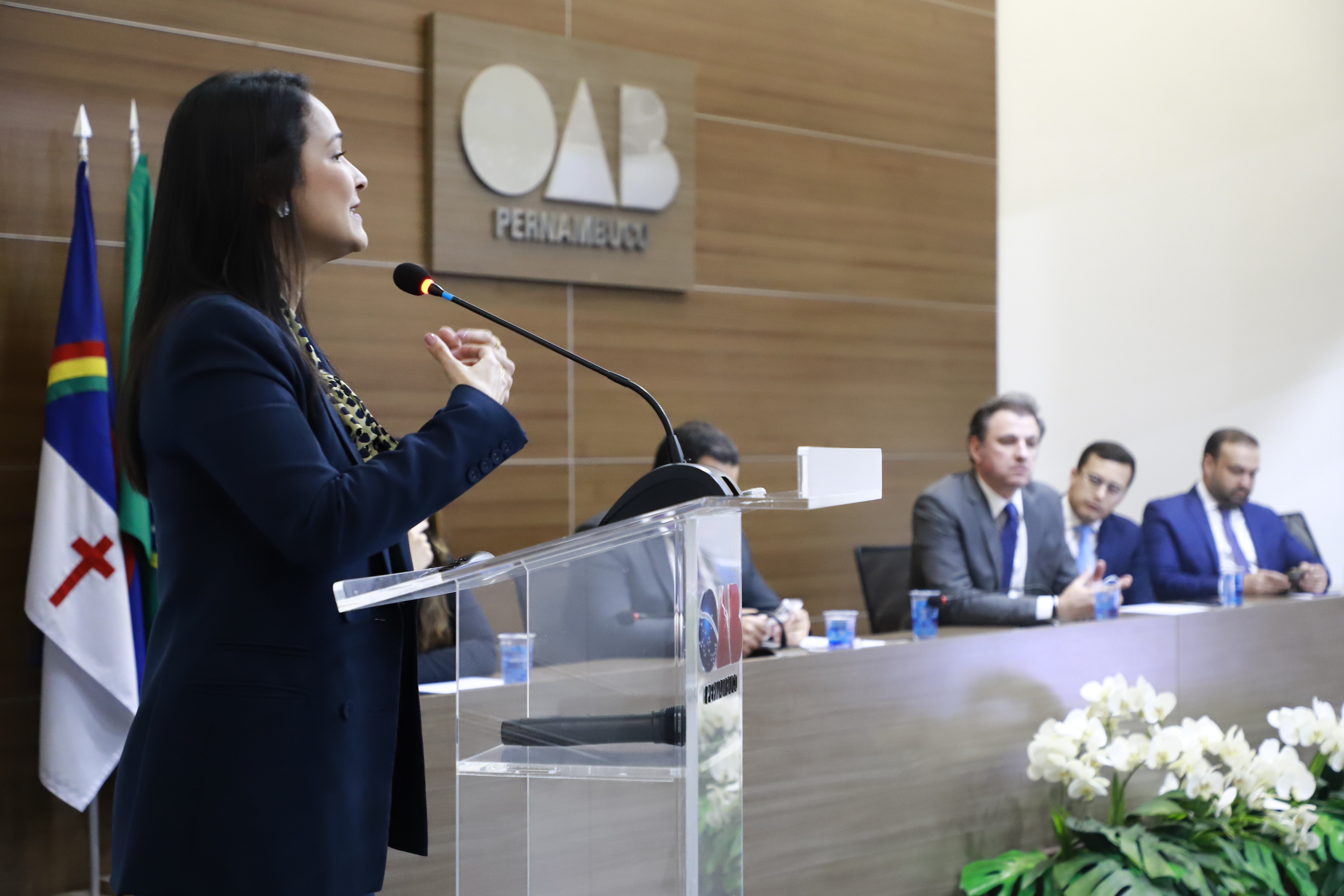 II Encontro de Comiss&otilde;es