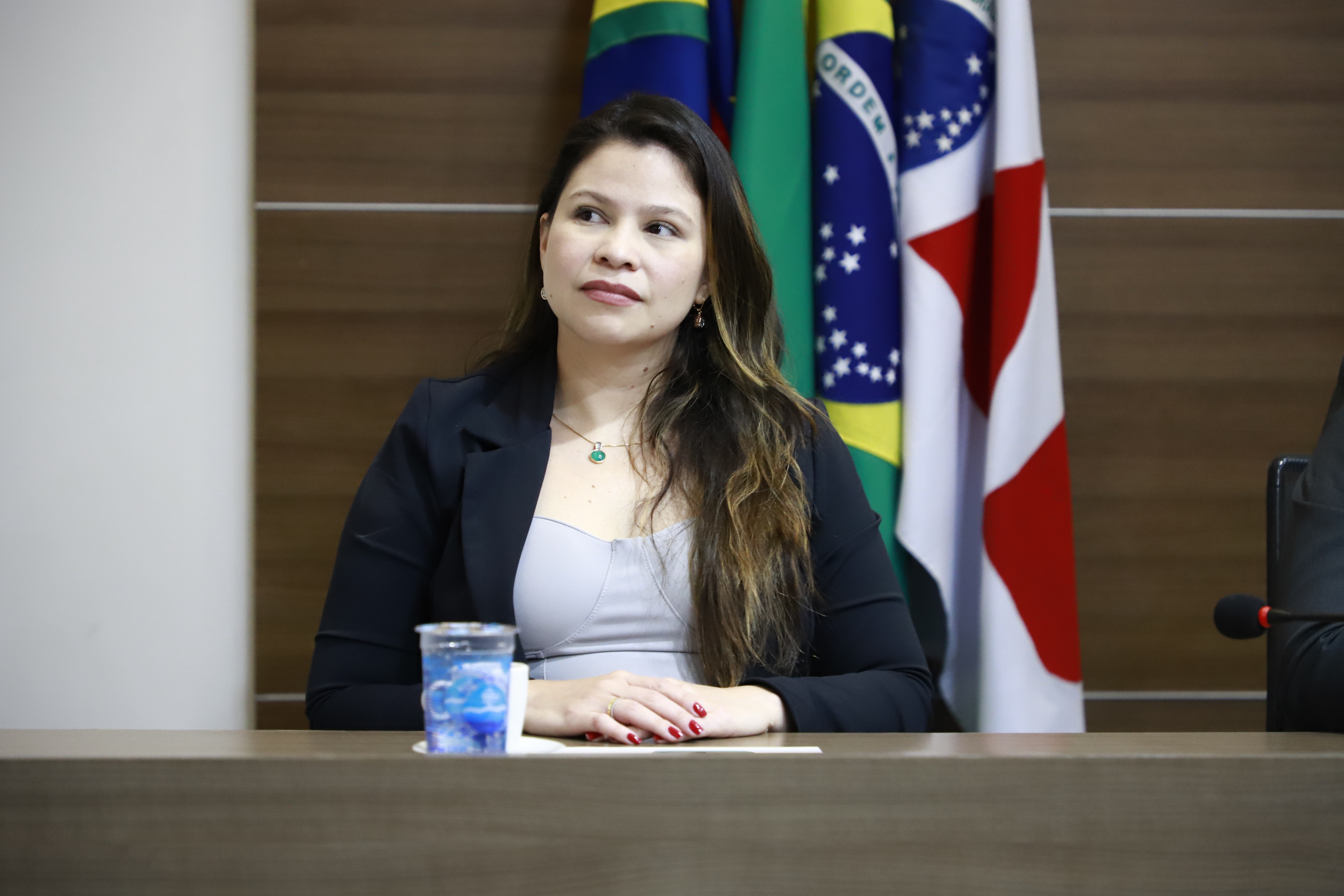 II Encontro de Comiss&otilde;es