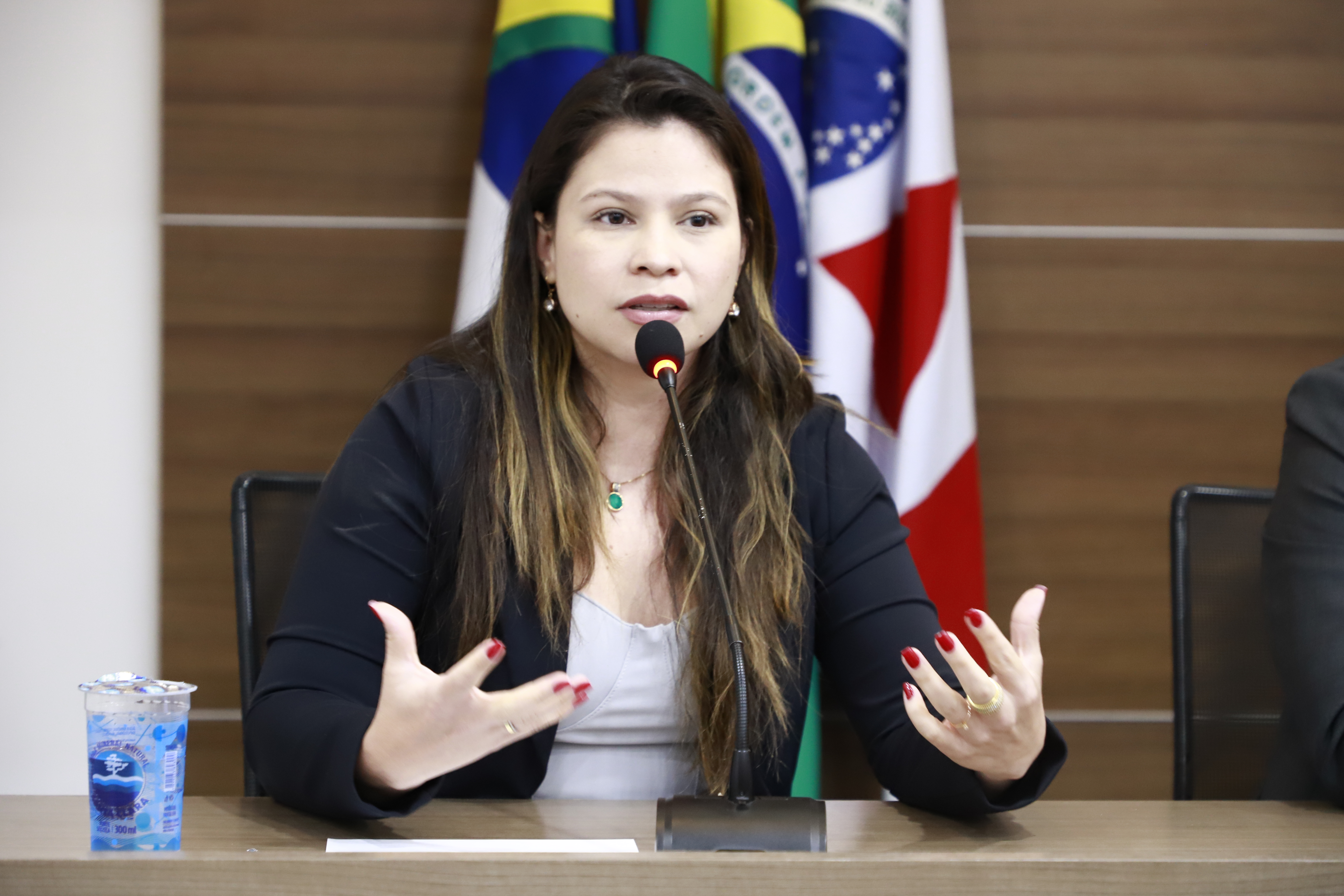 II Encontro de Comiss&otilde;es