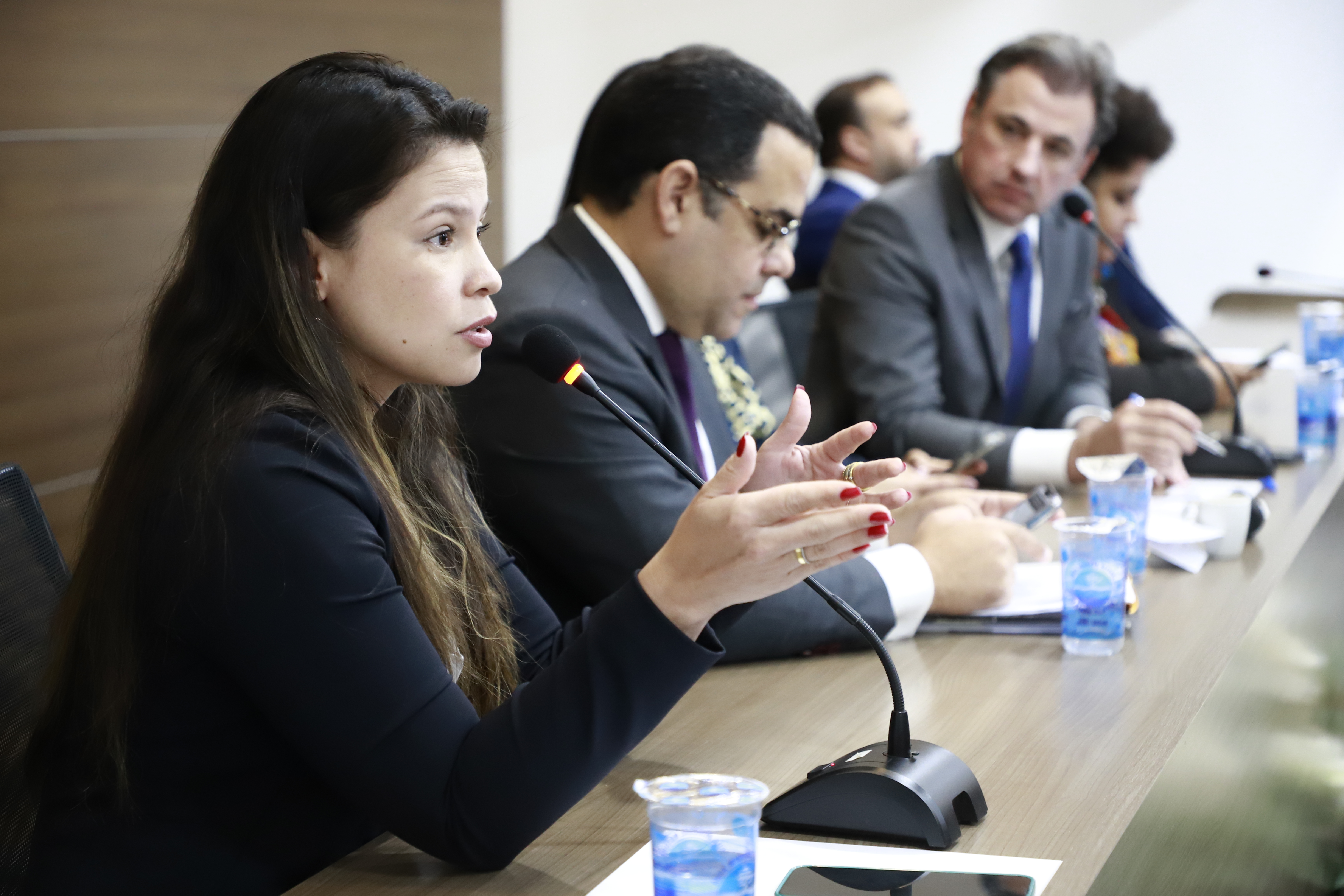 II Encontro de Comiss&otilde;es
