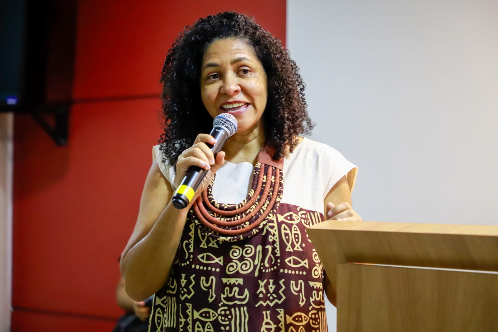 Lan&ccedil;amento da APAN
