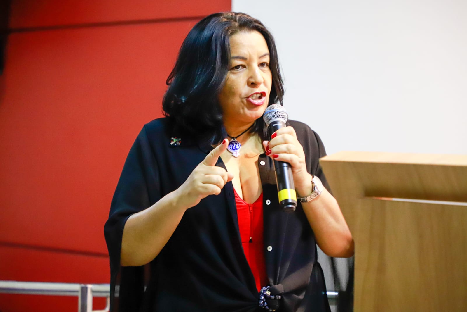 Lan&ccedil;amento da APAN