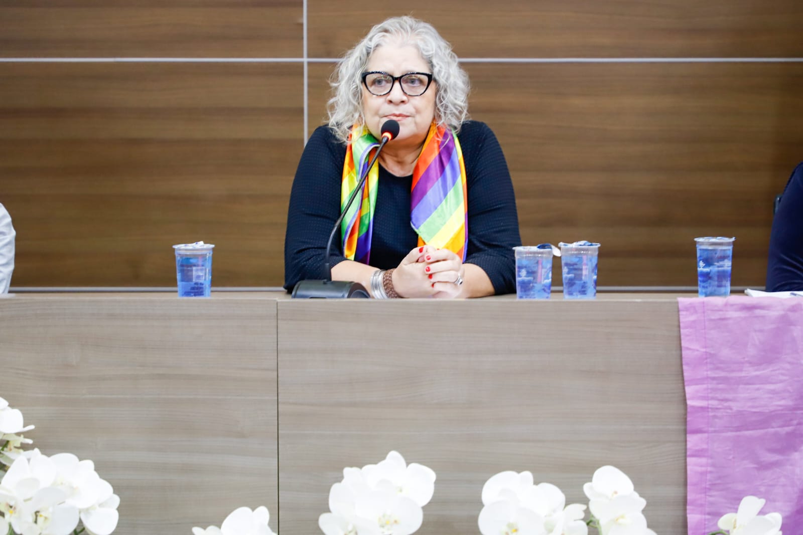 Lan&ccedil;amento do I LesboCenso Nacional