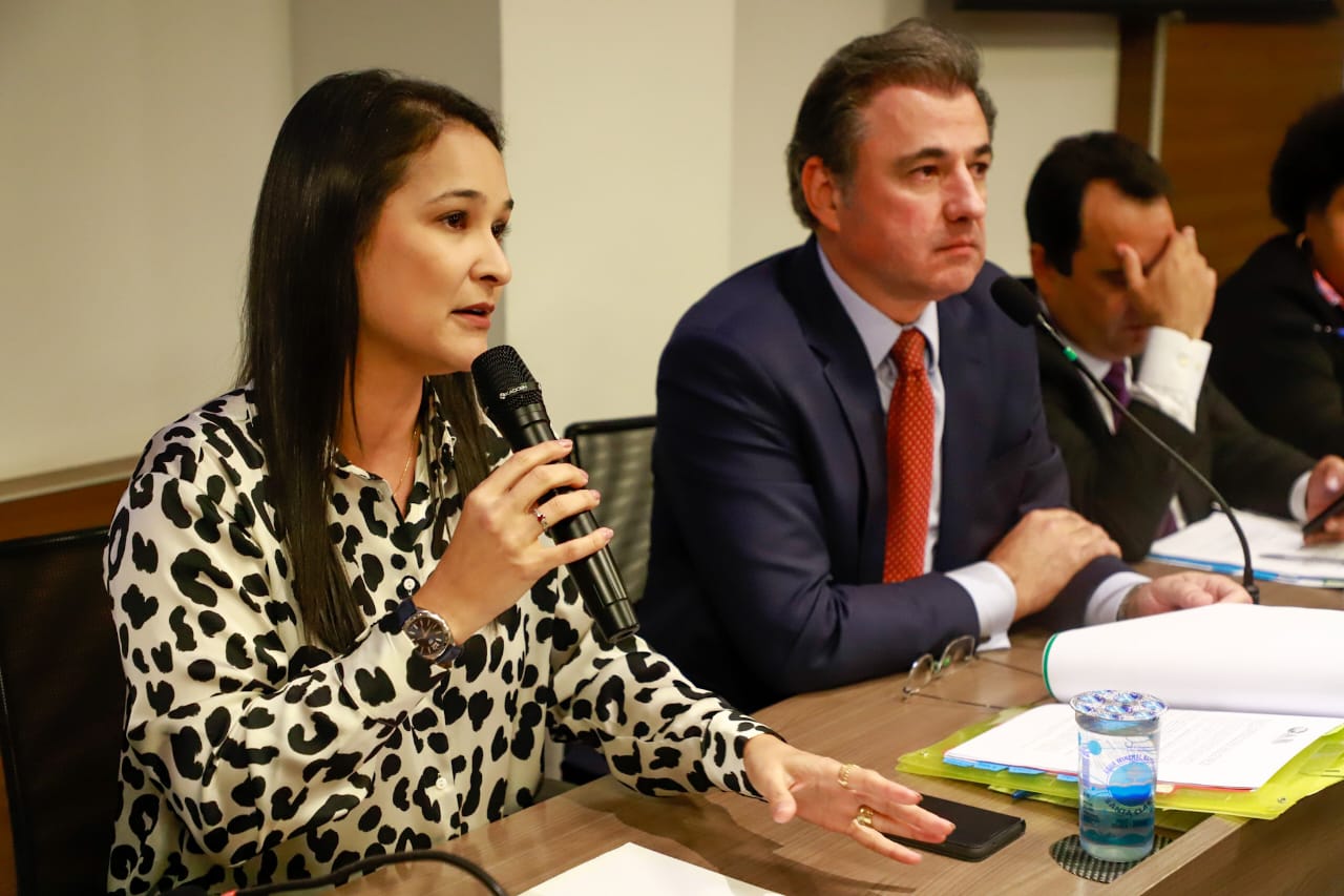 Sess&atilde;o do Conselho Pleno