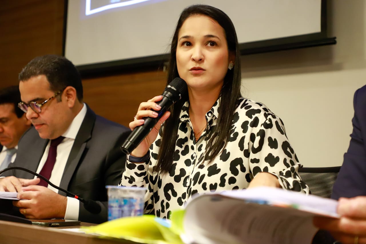 Sess&atilde;o do Conselho Pleno