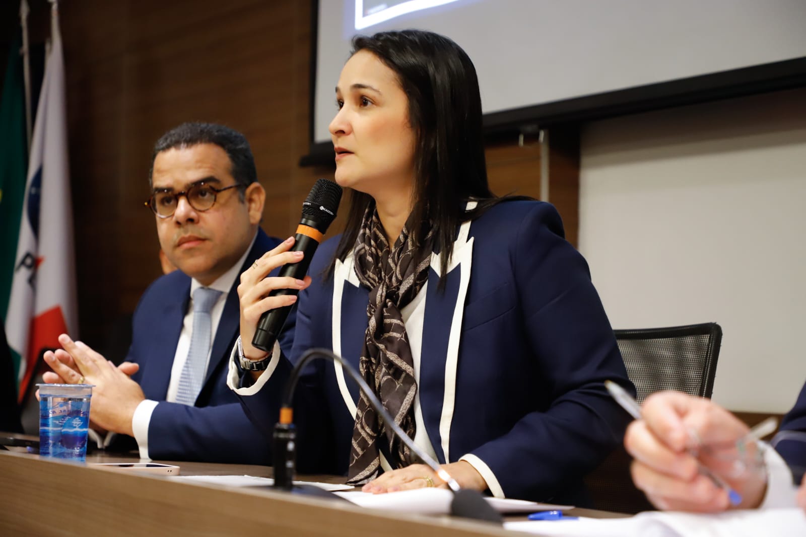 Sess&atilde;o do Conselho Pleno - dezembro