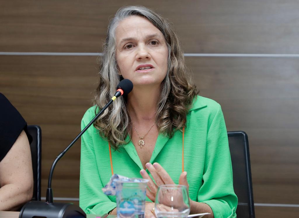 Semin&aacute;rio &ldquo;Explora&ccedil;&atilde;o sexual comercial de crian&ccedil;as e adolescentes: quais s&atilde;o os compromissos necess&aacute;rios para erradic&aacute;-la?"