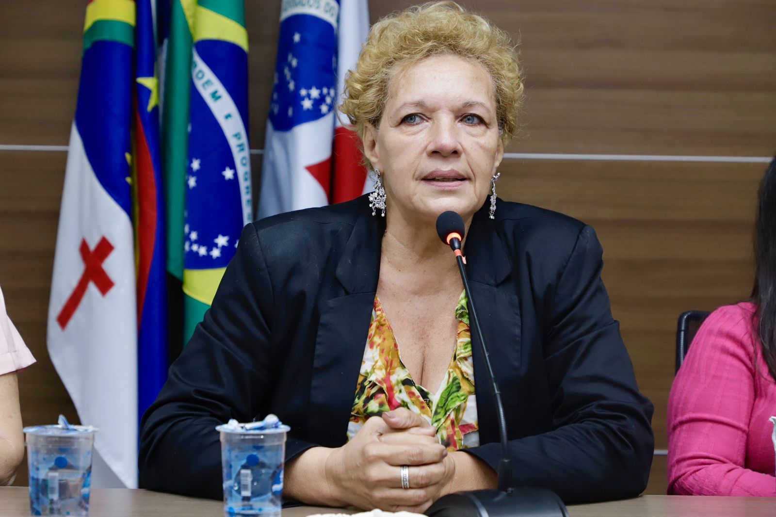 Lan&ccedil;amento do livro &ldquo;Lei Maria da Penha: uma abordagem pr&aacute;tica do seu funcionamento e aplica&ccedil;&atilde;o&rdquo;