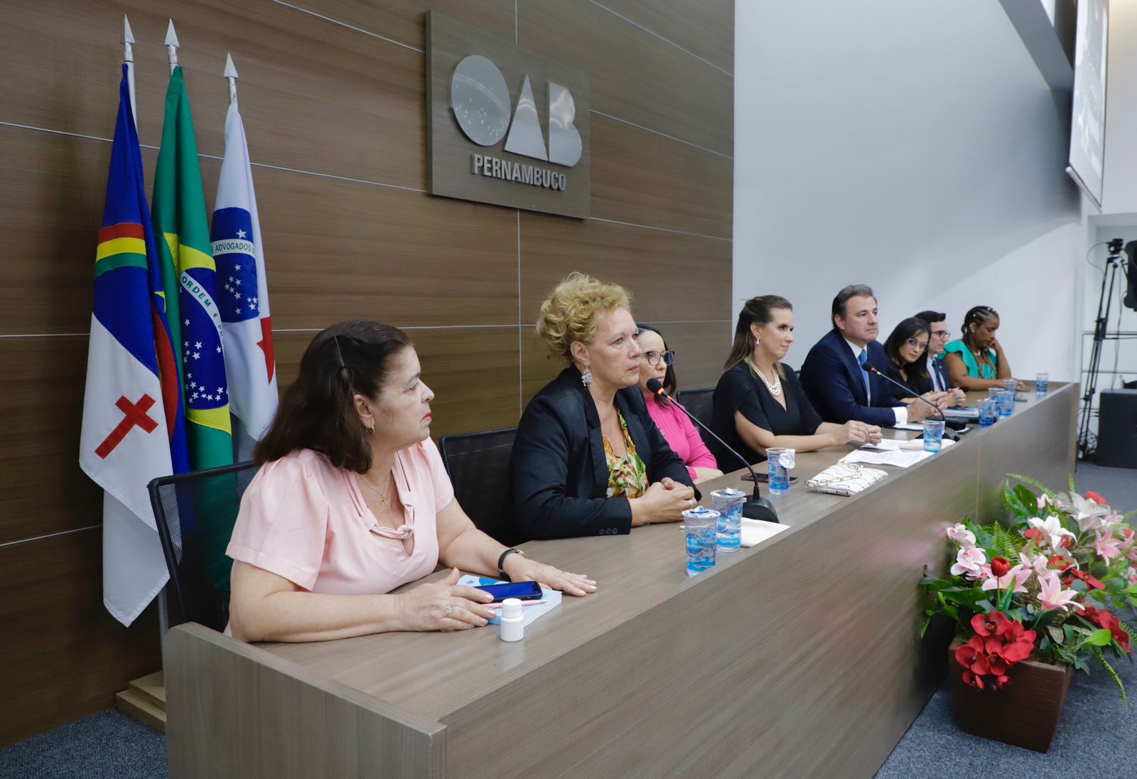 Lan&ccedil;amento do livro &ldquo;Lei Maria da Penha: uma abordagem pr&aacute;tica do seu funcionamento e aplica&ccedil;&atilde;o&rdquo;