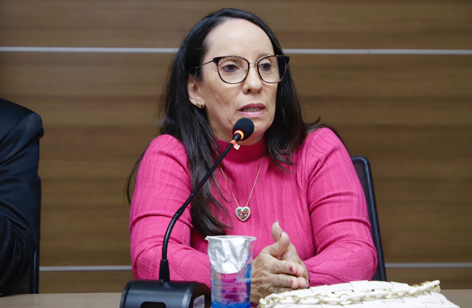 Lan&ccedil;amento do livro &ldquo;Lei Maria da Penha: uma abordagem pr&aacute;tica do seu funcionamento e aplica&ccedil;&atilde;o&rdquo;