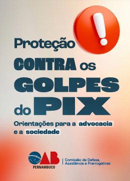 Prote&ccedil;&atilde;o Contra os Golpes do Pix : orienta&ccedil;&otilde;es para a advocacia e a sociedade