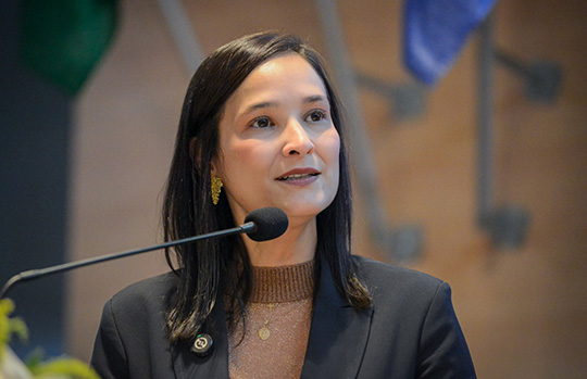Notícia em destaque: Ingrid Zanella vai ao STF cobrar medidas cautelares diante da crise na Corte