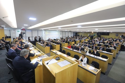 CFOAB decide que viol&ecirc;ncia contra a mulher impede inscri&ccedil;&atilde;o nos quadros da Ordem