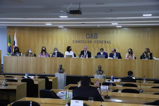 Col&eacute;gio de Presidentes apoia proposta de paridade de g&ecirc;nero e pol&iacute;tica de cotas raciais para elei&ccedil;&otilde;es da OAB