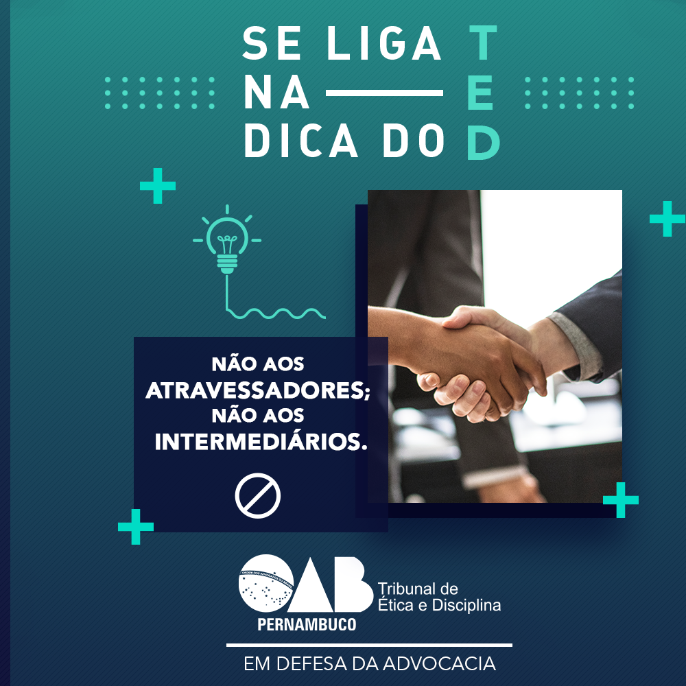 Projeto "Se liga na dica do TED" apresenta seu 2&ordm; artigo