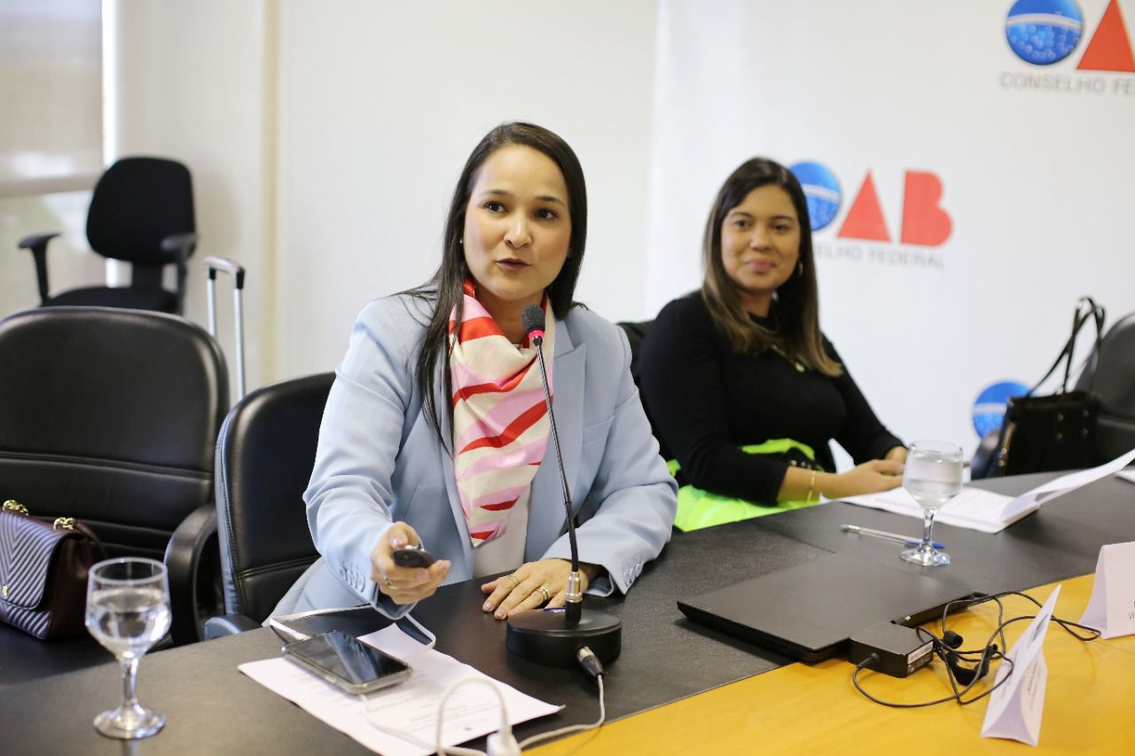 Ingrid Zanella no encontro de vice-presidentes da OAB Nacional