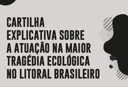 OAB Pernambuco lan&ccedil;a cartilha educativa sobre o incidente com o &oacute;leo no litoral