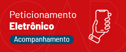 2.4 Peticionamento - Acompanhe